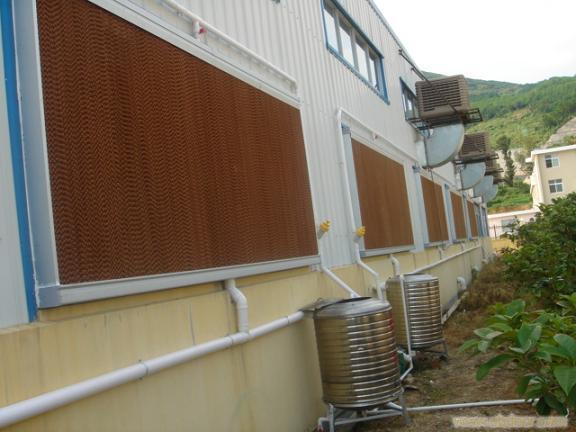 ˮ���{�ɞ�S�҂������O���������