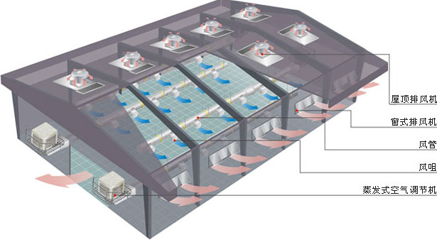 wذbh(hun){(dio)ʾD