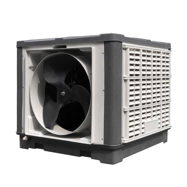 ���|ݸ�h�����{��-2020�h�����{�r��|��r