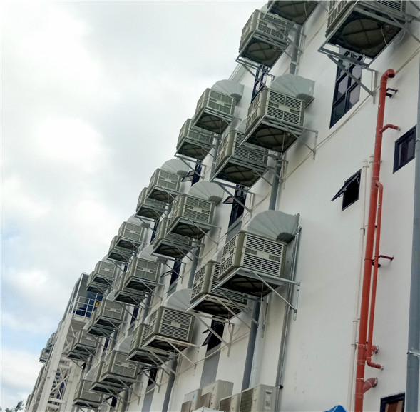 ���l�h�����{���L�C