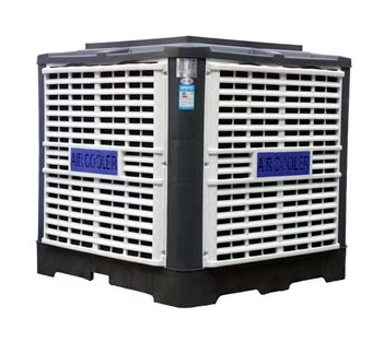 FT-300�S���h�����{