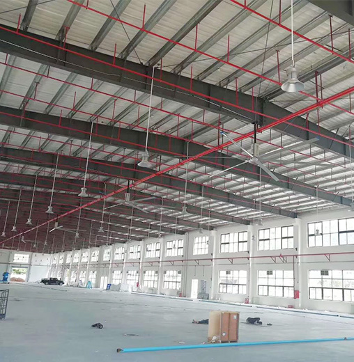 ���͹��I���ȏS������