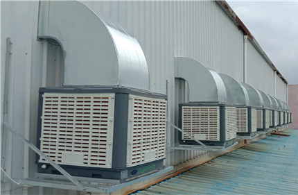 �FƤ�S�����ؽ�Q��������֪���᣿