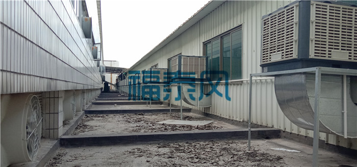 �h�����{���L�C���ذ��b/�S��-��̩