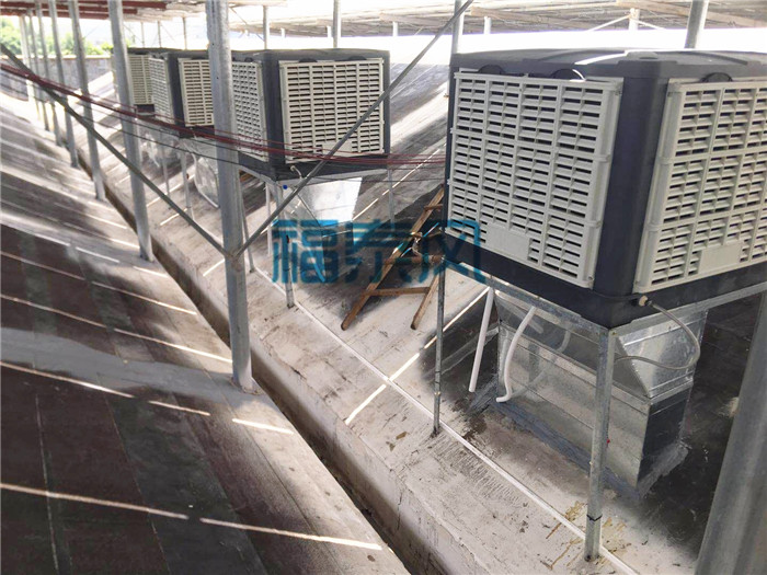 �|ݸ�P��|�|�ӭh�����{/ˮ����{/���L�C/�S��܇�g���ذ��b-��̩