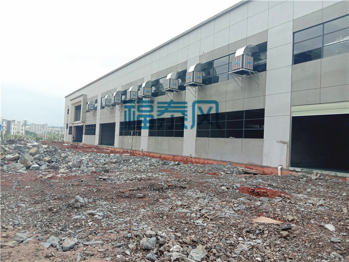 �h�����{���b����