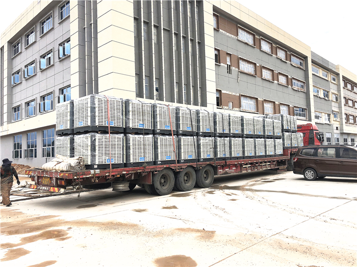 �h�����{