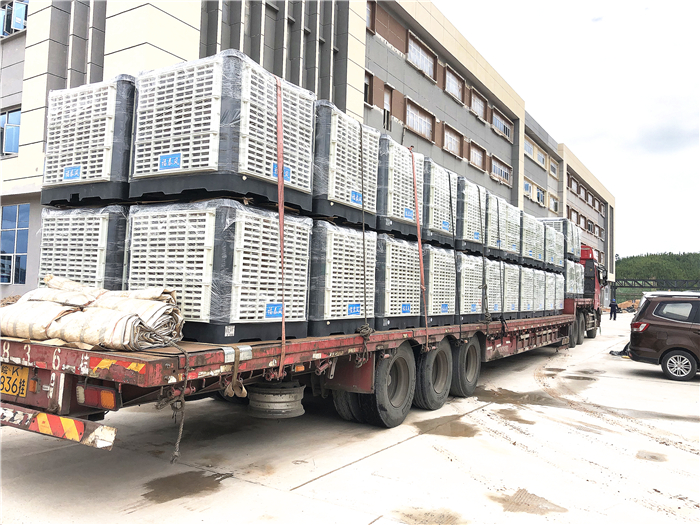 �h�����{�͂��y���{�ą^�e�����