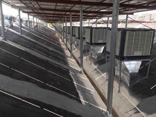 �FƤ�S������